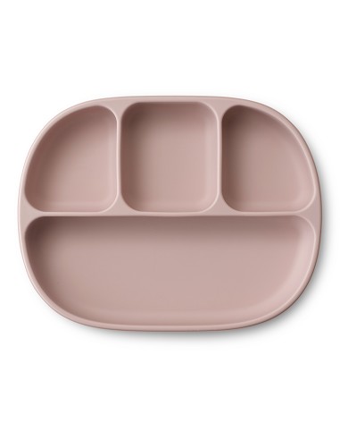 Silicone plate with suction cup and lid