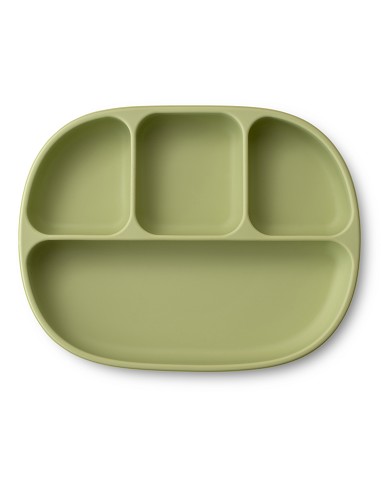 Silicone plate with suction cup and lid