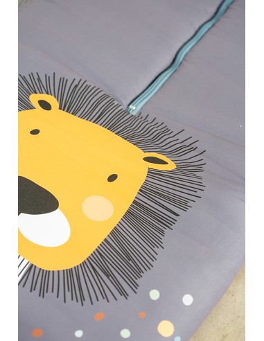 Saco Carro Universal Mod Leon