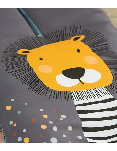 Saco Carro Universal Mod Leon